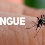 Administración departamental continúa trabajando en acciones contra el dengue