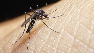 Aguachica suma dos muertes por dengue este año