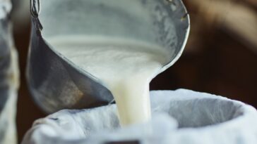 Al menos 2.400 litros de leche desperdiciados por cierre en vía al Cusiana