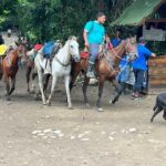 Arrieros del Parque Tayrona se niegan a dejar de trabajar con sus caballos