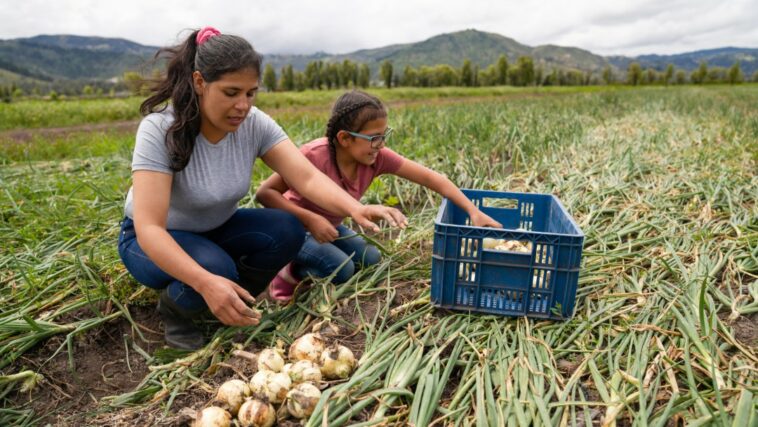 Boyacá es el segundo departamento de Colombia con más mujeres campesinas