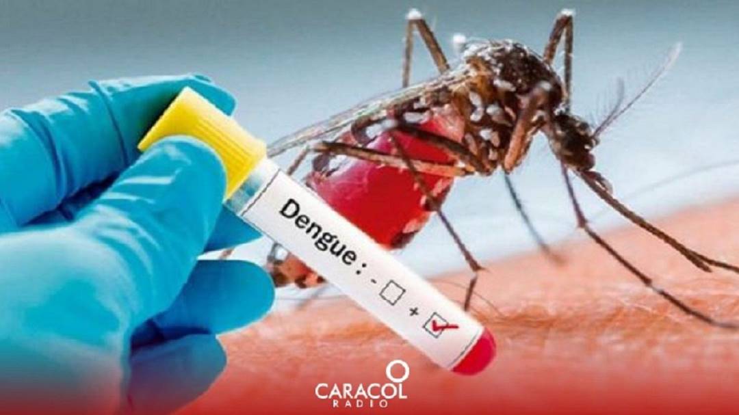 Caldas toma medidas preventivas para evitar el dengue