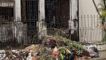 Caos en cementerio de Nariño: restos humanos arrojados en las calles y hasta los perros