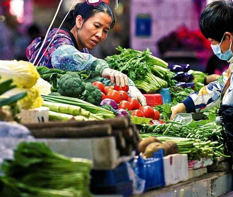 Colombia y 6 países más recibirán ayuda alimentaria para combatir el hambre