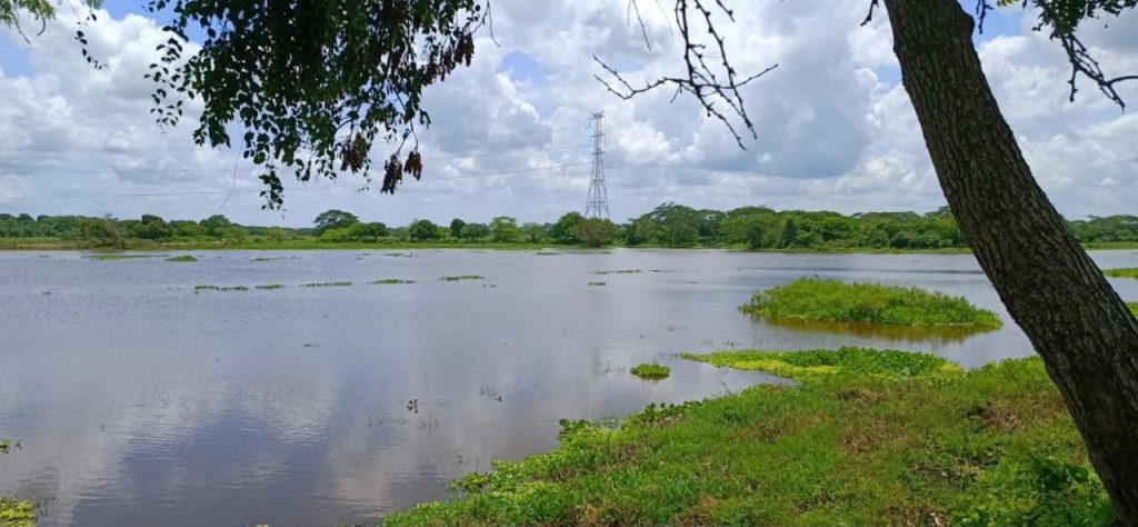 Corpamag y Alcaldía de Pivijay finalizan obras de mantenimiento en el ‘Caño Schiller’