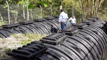 Cortolima Anzoátegui