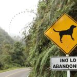 Cundinamarca tendrá resguardos en los peajes para atender animales abandonados
