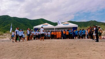 Defensa Civil lidera liberación de tortugas en Playa Lipe