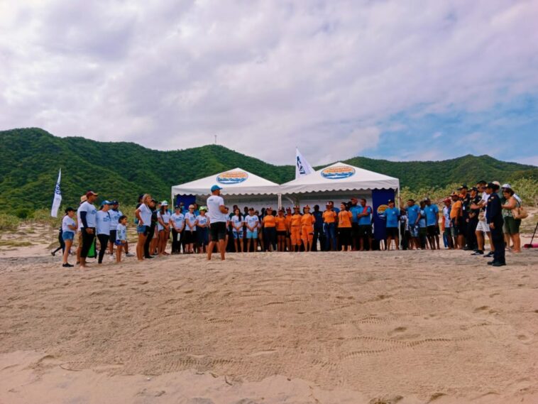 Defensa Civil lidera liberación de tortugas en Playa Lipe