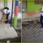 Denuncian caso de maltrato animal en Tumaco: estudiante agarró a un perro por sus patas y lo hizo girar