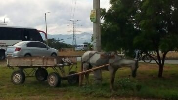 Denuncian que venezolanos estarían robando arena en predios privados