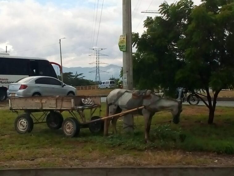 Denuncian que venezolanos estarían robando arena en predios privados