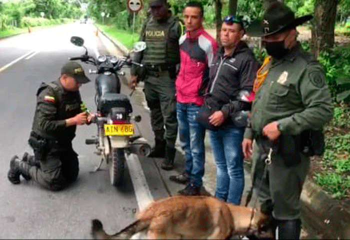 Dos capturados más con caleta de coca