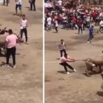 EN VIDEO: Tras la tragedia por el desplome de los palcos, siguieron atacando al toro