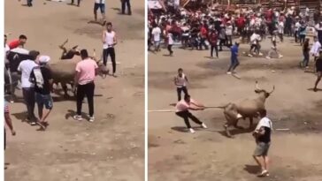 EN VIDEO: Tras la tragedia por el desplome de los palcos, siguieron atacando al toro