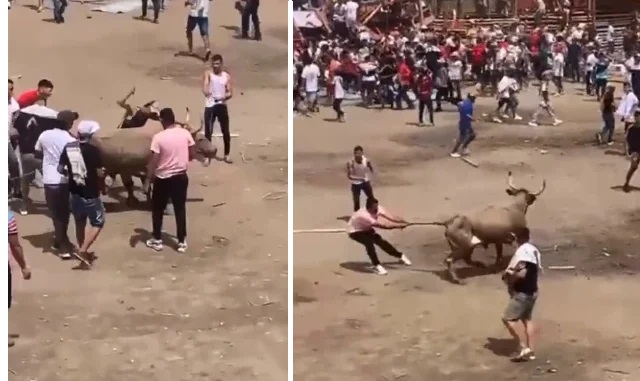 EN VIDEO: Tras la tragedia por el desplome de los palcos, siguieron atacando al toro