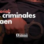 Editorial: Los criminales sí caen