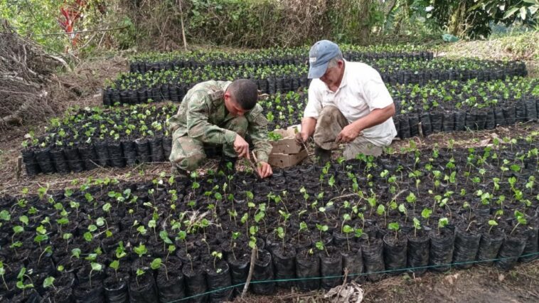 Ejército brinda apoyo en zonas cafeteras del Tolima