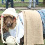 En Nobsa, Boyacá, se preparan para celebrar el día mundial de la ruana