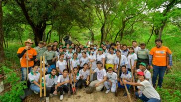 En conmemoración al Día del Medio Ambiente, Gobernación plantó 549 árboles