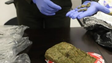 Encontraron dos kilos de marihuana dentro de una bolsa en la Terminal de Transportes de Manizales