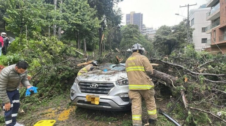 Dos personas quedaron atrapadas luego de que arbol cayera sobre una camioneta en el norte de Bogota