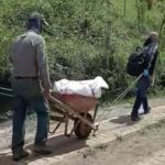 Hallaron dos cuerpos descuartizados en zona rural de Cali