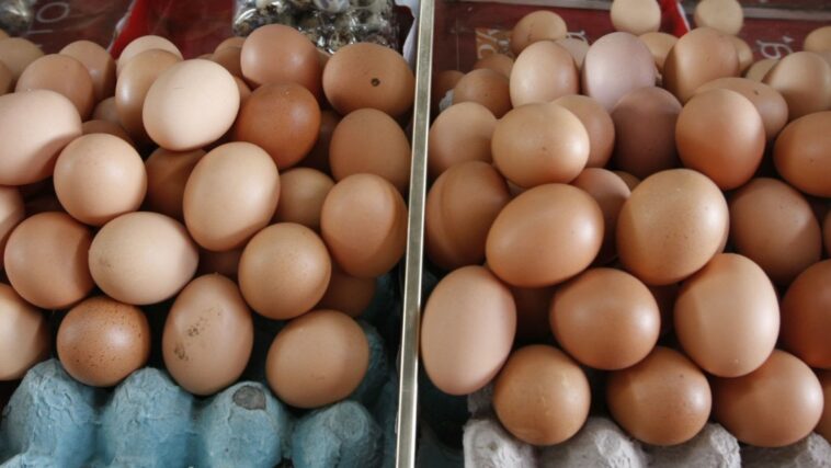 “Hasta un 30% podría disminuir la oferta del huevo”: Comerciante