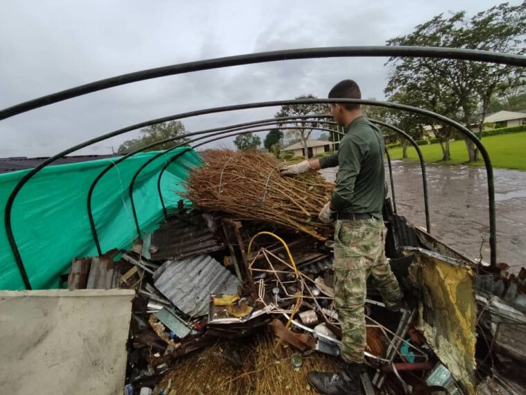 Incautaron 6 mil ramas de mata de coca en Pitalito