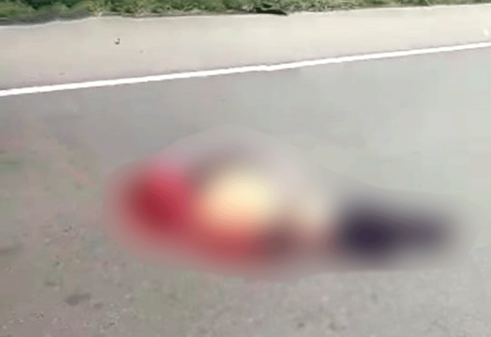 Muere motociclista al chocar con un camión