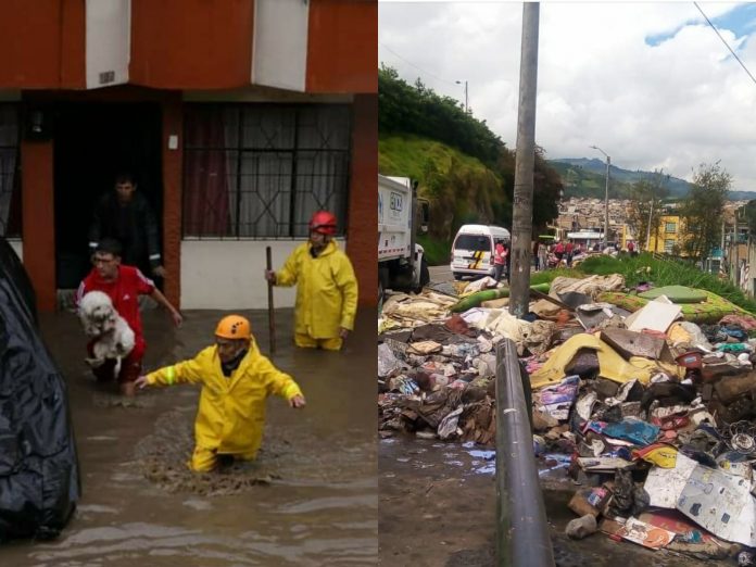 Pasto tras la inundación