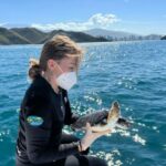 “Plásticos son una amenaza a tortugas marinas”: Biólogos