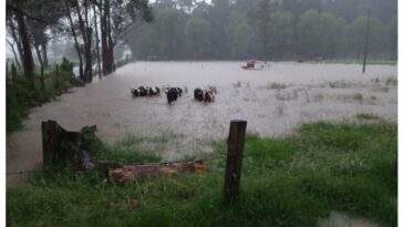 Por lo menos el 90 % de San Miguel de Sema se encuentra inundado