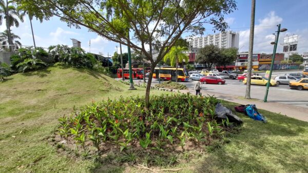 Programa de ‘Pereira más bonita’ sigue embelleciendo glorietas y parques