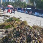 Recolectan material orgánico en las playas de El Rodadero