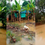 Reportan inundaciones en varios sectores de Tierralta por fuertes lluvias