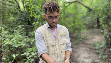 Con esta investigación, Unimagdalena da muestra de la importancia de conservar un área verde al interior del casco urbano.