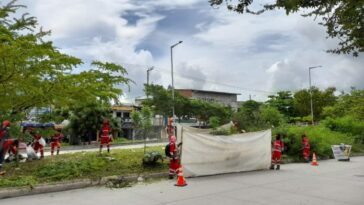 Veolia Aseo Cartagena realiza en la avenida Pedro de Heredia actividad ambiental “Mí Avenida Limpia”