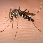 ¡Pilas!, van 635 casos de dengue registrados en Villavicencio