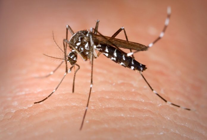 ¡Pilas!, van 635 casos de dengue registrados en Villavicencio
