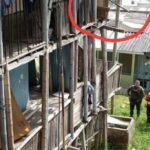 Adulto mayor falleció después de que cayera de un tercer piso en Manizales
