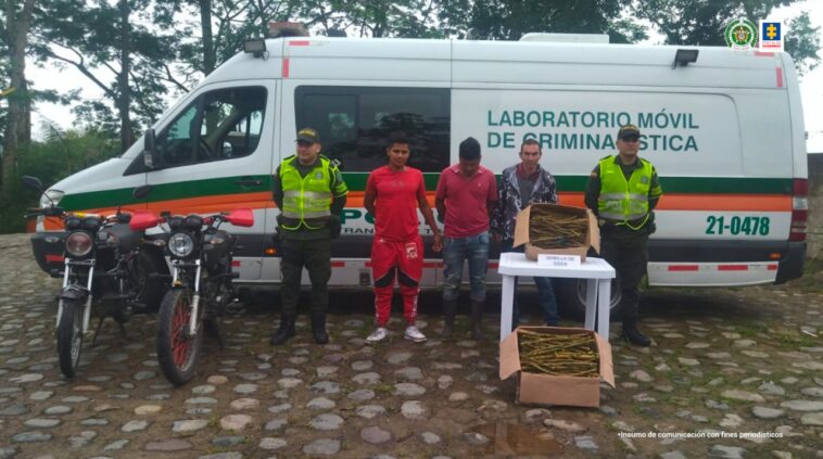 Asegurados cuatro hombres que presuntamente transportaban tallos de coca por carreteras de Putumayo