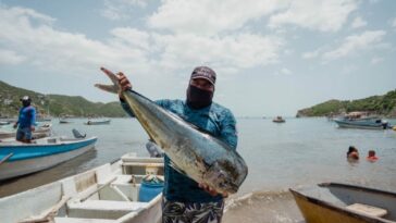 Así se vivió el ‘Festival de Pesca Artesanal’, se destacaron las tradiciones ancestrales de Taganga 