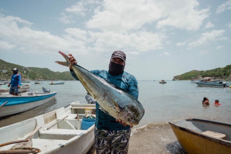 Así se vivió el ‘Festival de Pesca Artesanal’, se destacaron las tradiciones ancestrales de Taganga 