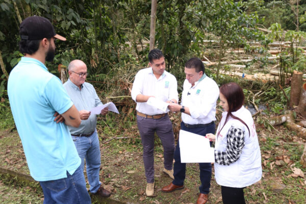 CARDER atendió denuncia de tala de árboles y evidenció que no era ilegal