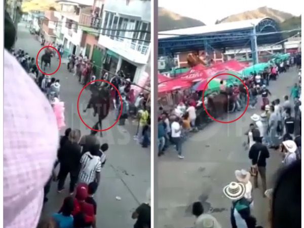 Con caballos embistiendo al público terminó la accidentada 'competencia' de equinos en San Lorenzo - Nariño