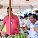 Con más de $2.000 millones, se fortalecerá la cadena productiva del cultivo de plátano dominico hartón de 6 asociaciones