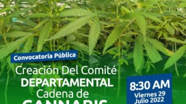 Convocatoria para la conformación del Comité Departamental de Cannabis Medicinal