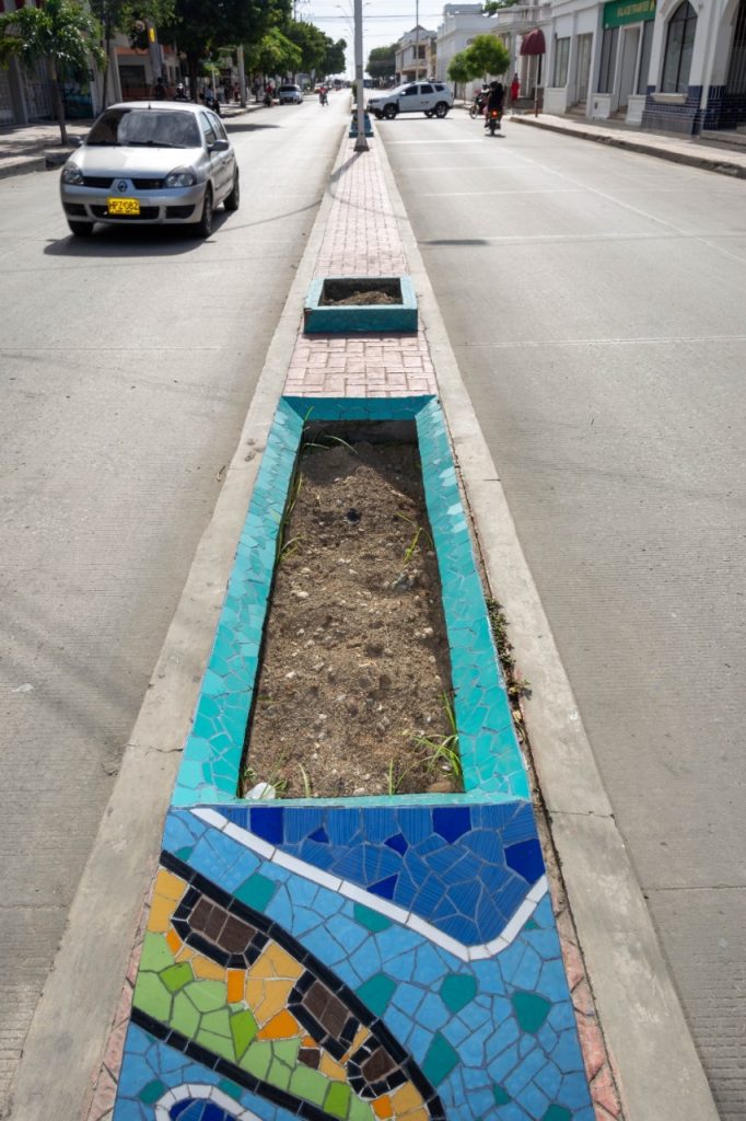 DADSA rechaza el hurto de plantas ornamentales en separadores viales de la calle 22 