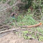Deslizamiento dejó sin gas natural a municipios de Casanare